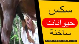سكس حيوانات ساخنة سكس حيوانات ساخنة