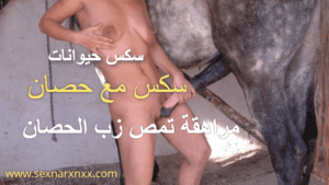 سكس مع حصان سكس مع حصان