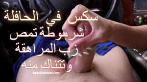سكس في الحافلة سكس في الحافلة